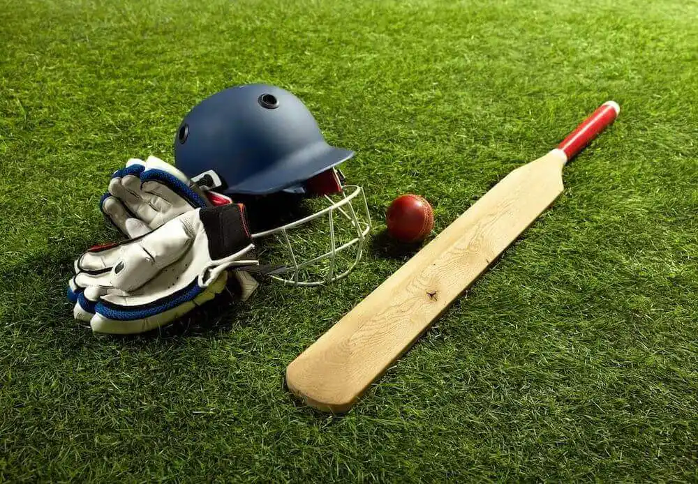 Passionate Cricket Fans